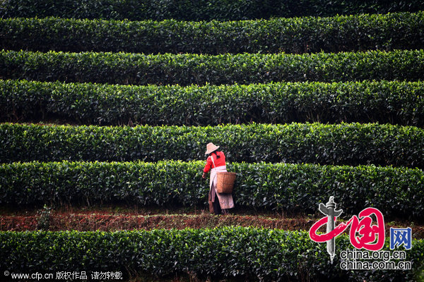 �ն����������ɵ�[��ͼ]