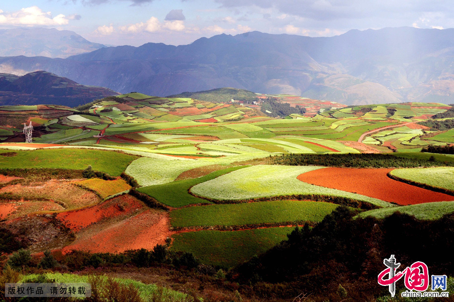 ���϶�����������ȫ�����������Լ����¬���������Ƶĺ����أ����侰��Ȱ��������ظ�Ϊ׳�����й���ͼƬ�� �ӹ�����