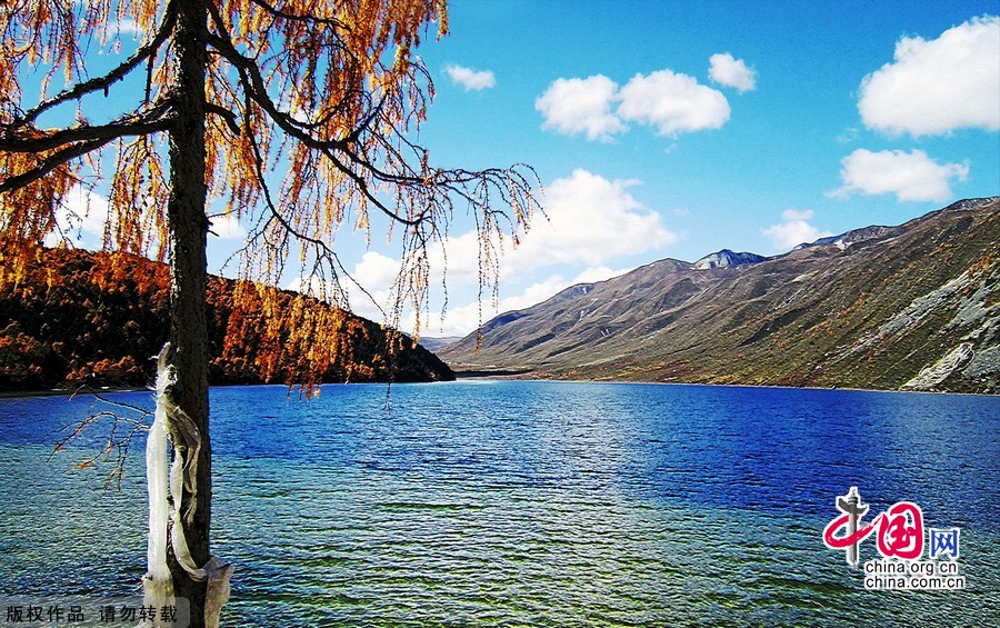 �����Ƕ��羰��λ���Ĵ����β����������ϲ����ش���������ظ�ԭ���������ɽ���жΣ���������ɽ��ľ���ؽ�������������ز�������ʡ�е������ڣ����������أ����7323ƽ�������Ӱ���α�/�й���ͼƬ��