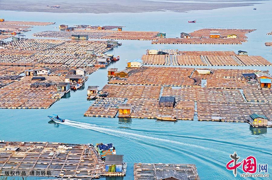 ϼ�ֵĺ���������“��������˹”֮�ơ�“�����˼�”�����������ں�����ֳ�ĳ����� �й���ͼƬ�� ФԶ��/��