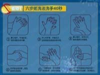 17个要点预防禽流感