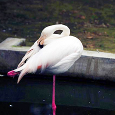 ����ȡ��—���ݺ���[��ͼ]