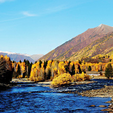 �½���ľ����[��ͼ]