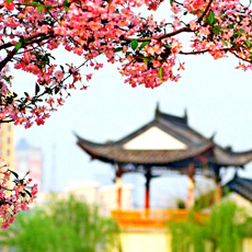 ���գ�Ī������Ļ���[��ͼ]