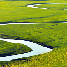 ��������-���ױ�����ԭ[��ͼ]