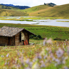 �������е�“�������”��ľ�￵������[��ͼ]