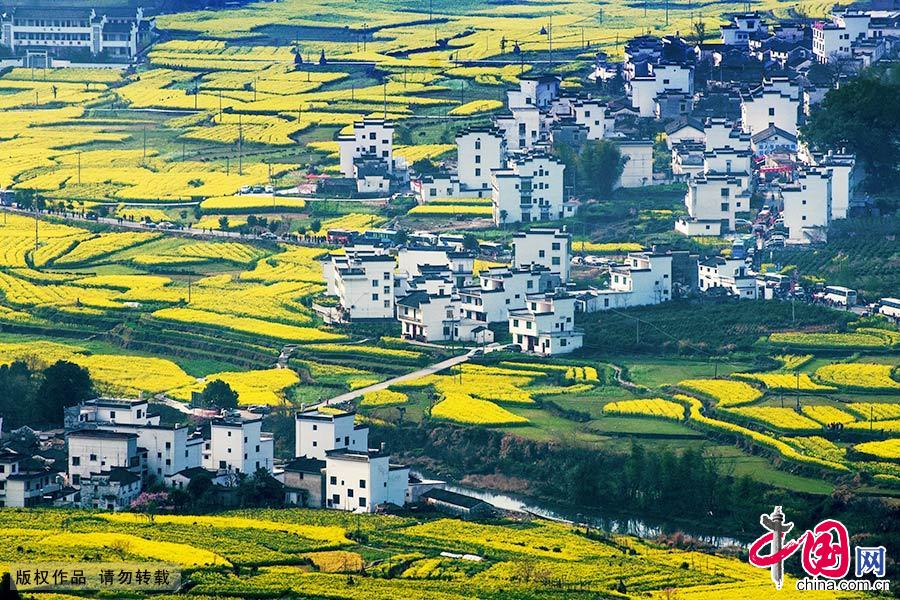 �Ͳ˻����һ���������ӽ����ӳ������һ������������廭����