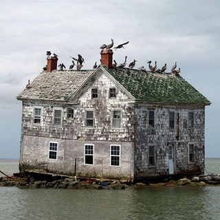 �����ϱ������Ŀ���֮��[��ͼ]