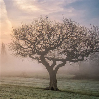 ����������“���ĳ���”�ľ����߸�