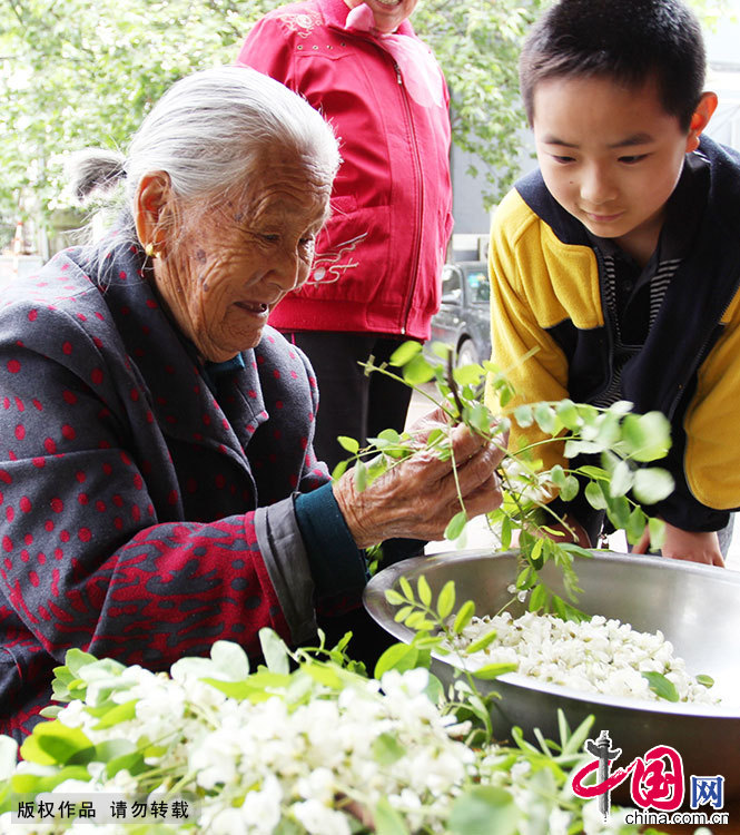 ����֮�����������Ļ���ʢ���ļ��ڡ�������������ֹѪҩЧ�����ܽ��͸�Ѫѹ���������������桢������裬���������ɻ���������ڸ����������㡣