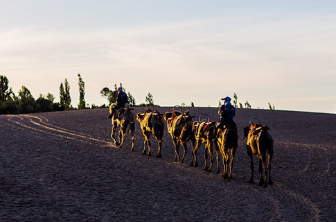 ˿��֮·�ϵ�ҫ������——�ػ�[��ͼ]