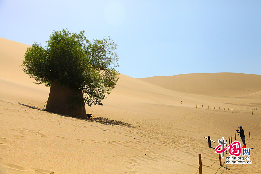 ��ɳɽ·����Ȫ 