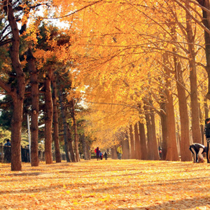 �������ӹ��͵�-����̨���Ӵ��[��ͼ]