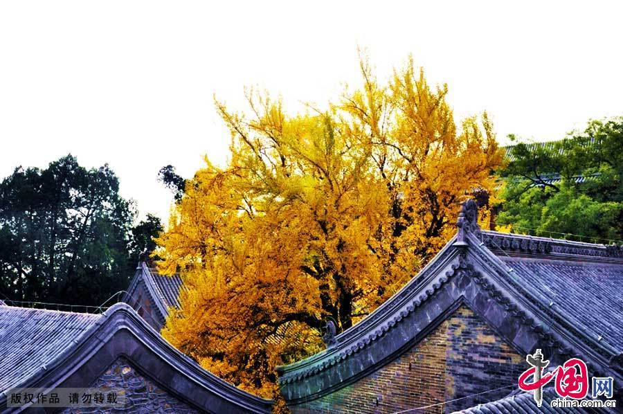 ���� �＾ �˴� ���� ������ 105286