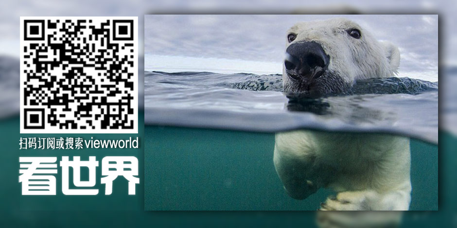 ��Ӱʦ��¼������ѧϰ��������Ӿ����[��ͼ]