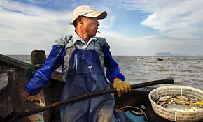 ����ʵ�����ĺ���ͳ�泡