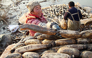 ��ź�˵ļ��أ�Ϊ�˸��õ�����