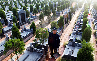 ��԰��Ĺ�˵ļ��أ�����һ��ƽ���Ĺ���