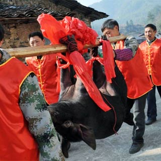 ������᣺���ũ��ɱ���� ������[��ͼ]