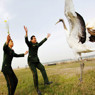 ��ͼƬ���¡��γǱ߷��ٱ�“��׹���”32��