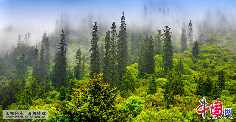  ��ű�ɽ���ش��Ĵ������ݵ�����������ˮ�أ�λ�ں�ˮ����ԭ���������ؽ��紦���������Ų��ؾ�կ�����������������ԭ���ԭɽˮ���������230ƽ������й���ͼƬ�� ������ ��