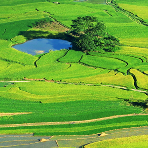 ������԰����Ƶ�������������ͻ�[��ͼ]