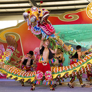 �����š�“��������”������̳����