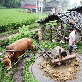 ������ֽ��������ɽ�����“�������”[��ͼ]