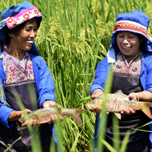 ���ݶ�կԭʼ���ӵ�“�����”[��ͼ]