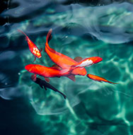 ���ϱ���ųǹŴ��ؾ�̽�� 