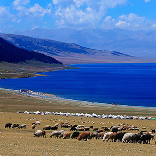 “���������һ������”����ľ��[��ͼ]