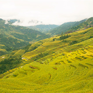 ����Ʈ��þ���Ȼ ���ݴӽ��Ӱ�����[��ͼ]