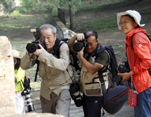 ��ʮ����ɷ��ֳ�