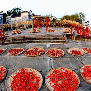 ���ջ�ɽ���Ŵ�“ɹ��”���续[��ͼ]