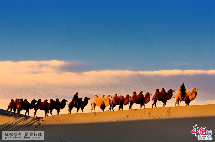 2015��10��2�գ����ɰ������ˣ�����ɰ˴���ɳĮ��Ӱ���й���ͼƬ�� �ζ�ƽ ��