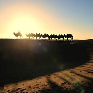 ����ɰ˵���ɳĮ��Ӱ[��ͼ]