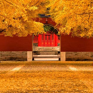 ��ʰ�쵵ı�����ɫ[��ͼ]