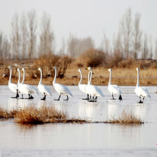 ��Ҵ�ں�ʪ�سɺ�����ת��վ �����輯����׳��[��ͼ]