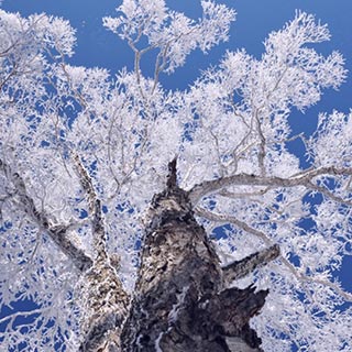 ��������ڡѩ�ɽ����ӳ����[��ͼ]