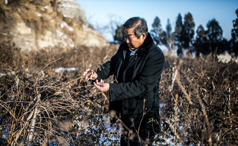 ɽ��ʡ�˴�������������ż���Ľ����� �����¸���ɽ����[��ͼ]