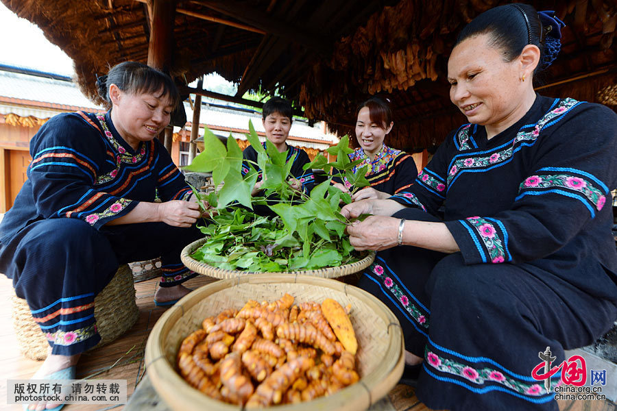  ׳�����������ɫ��Ŵ�׷�ʱ���Ƚ����ֲ�ͬ��ɫȾ�Ϸֱ�ɼ���������ɫ���ú����ݻ���Ҷ��ʲ��Ҷ��֭Ⱦ�ɣ���ɫ���ûƽ���ƻ���֭Ⱦ�ɣ���ɫ����������֭Ⱦ�ɣ���ɫ�÷���Ҷ�ֳ��ڷ�Ҷ֭Ⱦ�ɣ���ɫ��Ŵ�ױ�ɫ���й���ͼƬ�� Τ���� ��