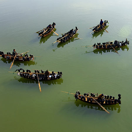 ��ӥ����——������ʧ��ũ���Ļ�[��ͼ]