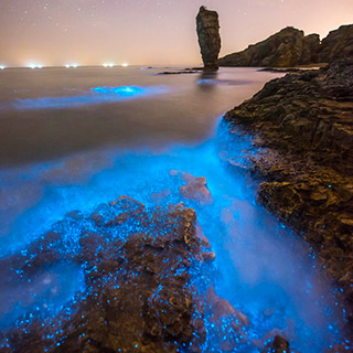 ��������������“ӫ�⺣”��� Ψ������ɫ�Ǻ�[��ͼ]