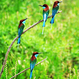 “�й�����С��”�����仢��Ϣ���ɽ[��ͼ]