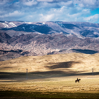 �½��� ���ĵİ��������ԭ