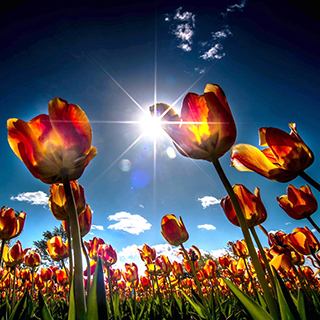 ������“�ǻ�”�½�������ɽ������