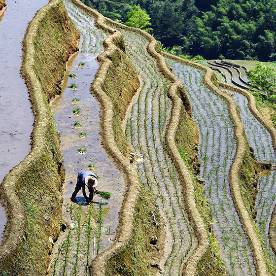 �����촨��â�ֽ�������æ