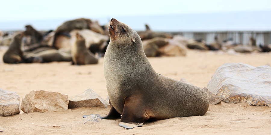 ʮ�ֽǵĺ�������[��ͼ]