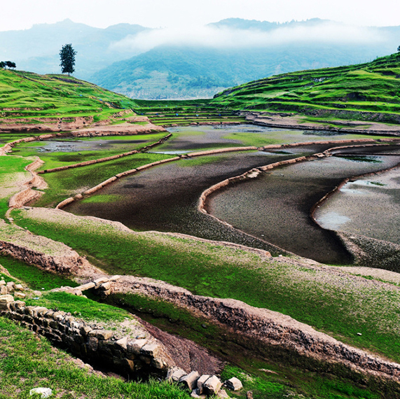 �����������̽�“ˮԪ��”[��ͼ]