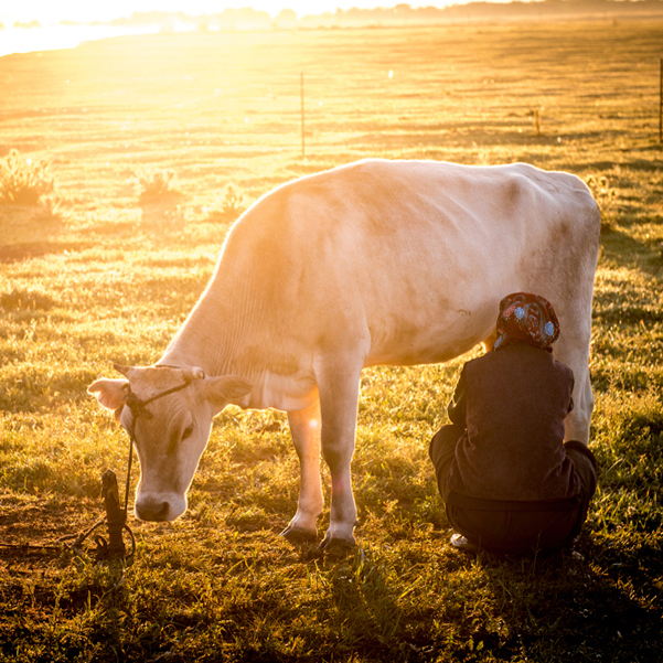 ����֮�� ��������[��ͼ]